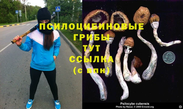 твердый Абинск